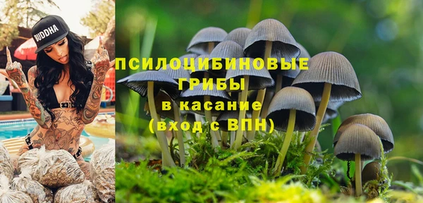 стаф Волоколамск