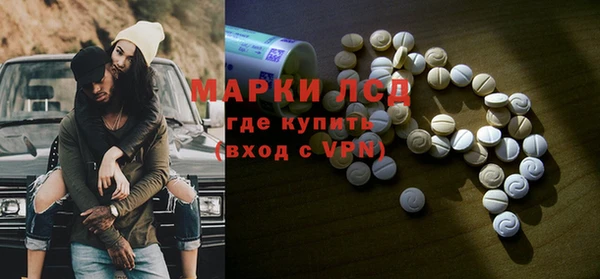 ГАЛЛЮЦИНОГЕННЫЕ ГРИБЫ Верея